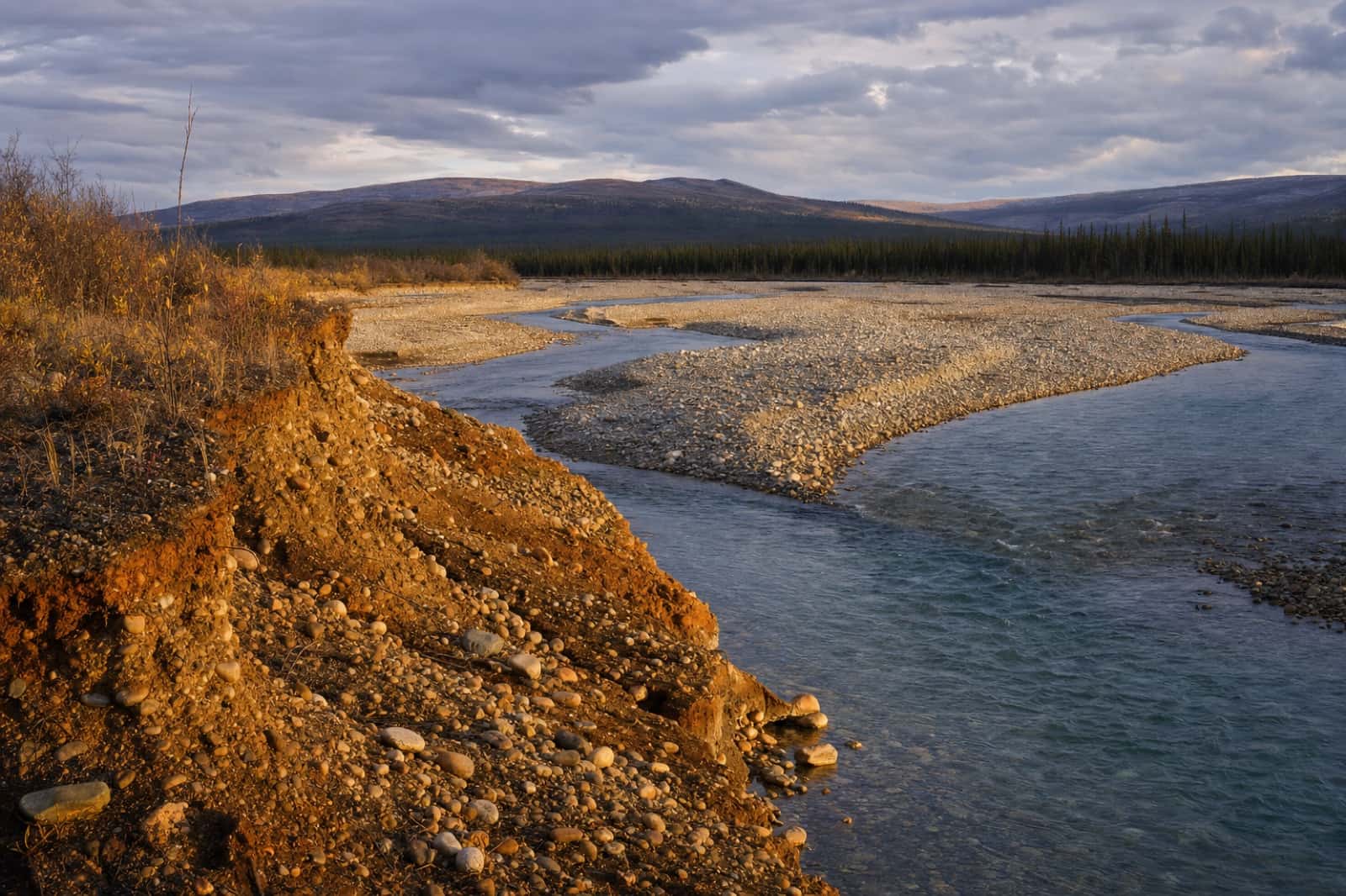 A braided sub-arctic creek with exposed gravel bars and a spruce treeline